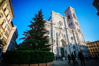 View of christmas tree against sky