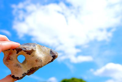 Cropped image of hand holding plant