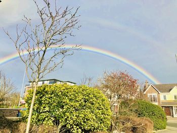 Scenic view of rainbow over tree and building against sky