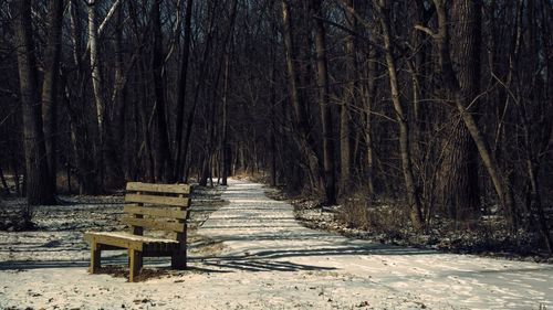 Bare trees on snow covered landscape