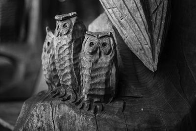 Close-up of wooden plank