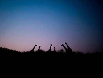 Silhouette people photographing against sky during sunset