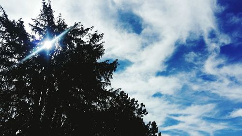 Low angle view of tree against sky