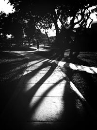 Shadow of trees on footpath