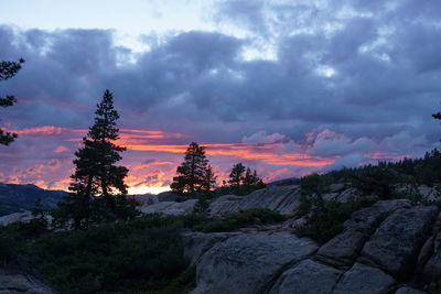 Scenic view of landscape against cloudy sky during sunset