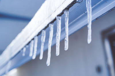 Close-up of icicles on snow