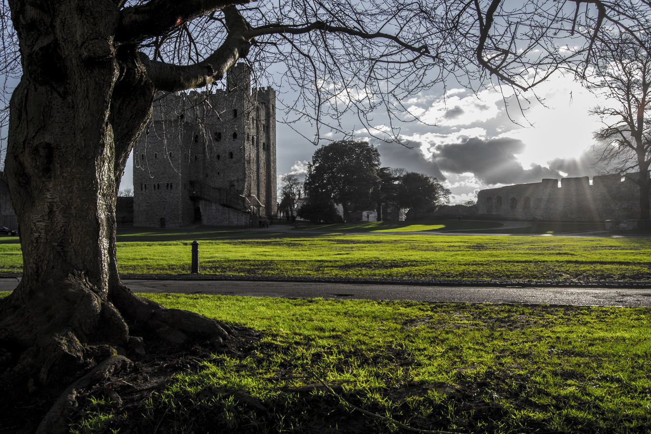 built structure, architecture, grass, building exterior, tree, sky, lawn, green color, branch, history, park - man made space, growth, field, religion, nature, sunlight, bare tree, day, grassy, spirituality