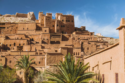 Moroccan berber village in sahara desert and a palm tree, ait ben haddou, morocco, africa