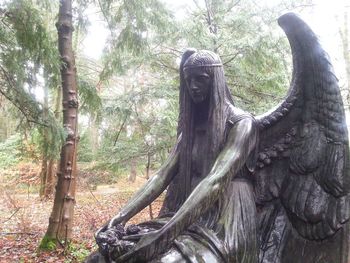 Low angle view of trees