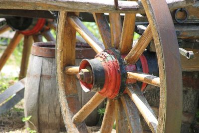 Close-up of wood on field