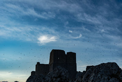 Low angle view of birds flying over buildings against sky