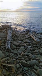 View of driftwood on beach