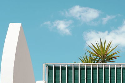 Low angle view of palm tree and building against sky