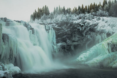 Scenic view of waterfall in forest