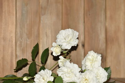 Close-up of white rose on table