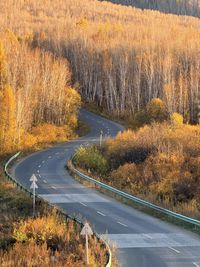 High angle view of road amidst trees