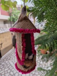 Close-up of hat hanging on tree