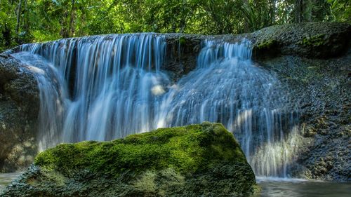 Scenic view of waterfall in forest