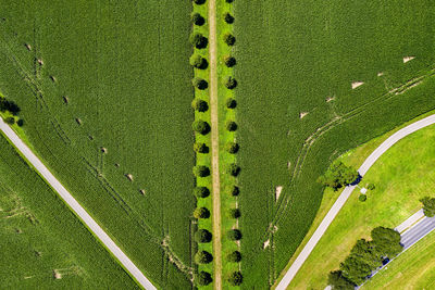 High angle view of soccer field