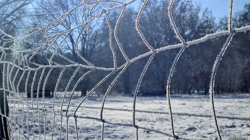 Snow covered field seen through fence
