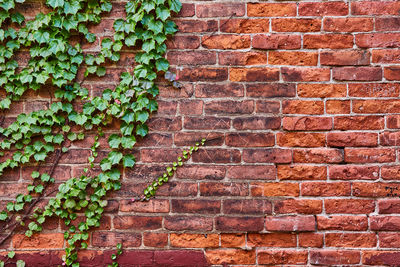 Full frame shot of brick wall