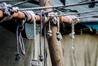 Close-up of ropes tied 