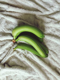 High angle view of green leaf on bed