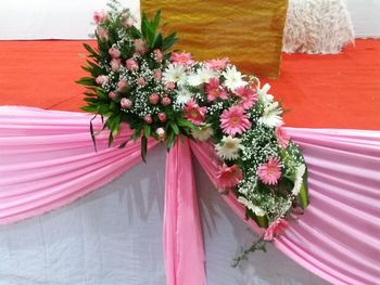 Close-up of pink flowers