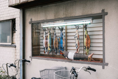 View of artificial fishes in glass