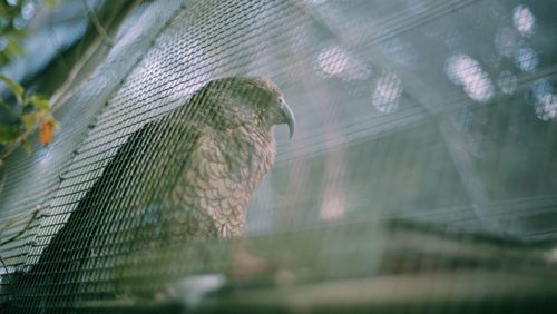 Close-up of water on window