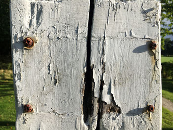 Close-up of rusty metal on tree trunk