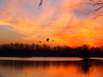 Silhouette bird flying over lake against sky during sunset