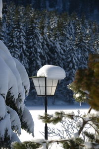 Snow covered land and trees against mountains