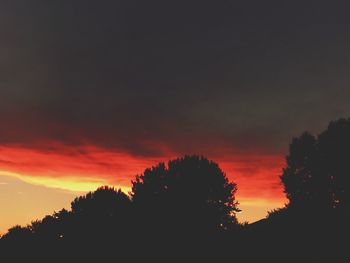Silhouette trees against orange sky