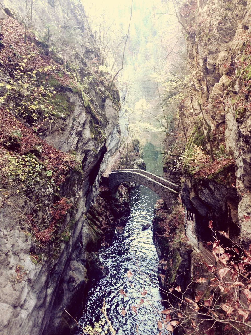 water, connection, bridge - man made structure, river, tree, rock - object, nature, high angle view, tranquility, stream, tranquil scene, scenics, beauty in nature, reflection, bridge, built structure, waterfront, day, outdoors, forest