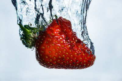 Close-up of red fruit against white background