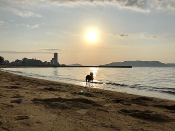 Man standing on beach against sky during sunset