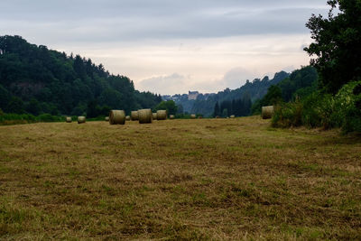 Hay bales on field against sky