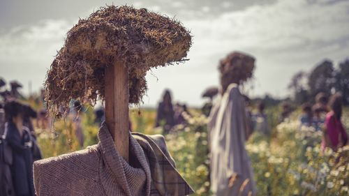 Close-up of scarecrows on agricultural field