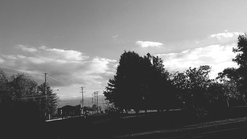 tree