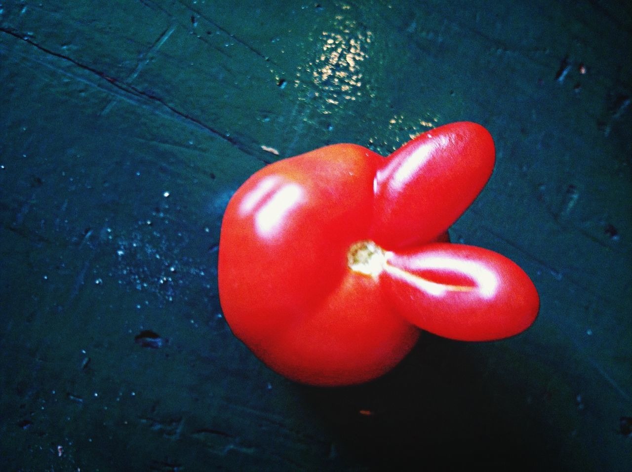 red, food and drink, freshness, healthy eating, food, fruit, high angle view, vegetable, tomato, orange color, still life, close-up, directly above, no people, vibrant color, ripe, table, stem, orange, organic