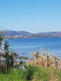 Scenic view of sea against clear blue sky