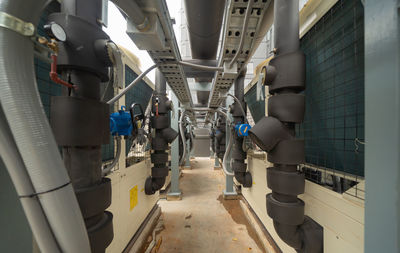 People walking on escalator