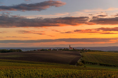 Scenic view of agricultural field against sky during sunset