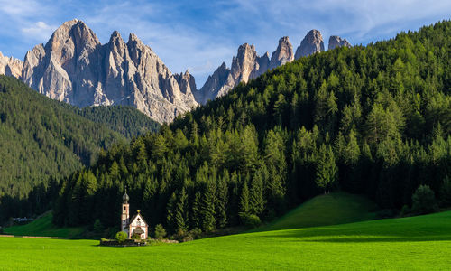 Panoramic view of green landscape and mountains against sky