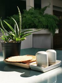 Close-up of potted plant on table at home