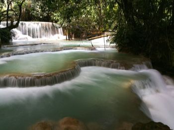 View of waterfall in forest