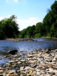 Scenic view of river against sky