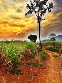 Scenic view of field against cloudy sky