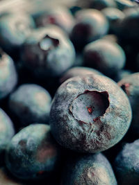 Freshly picked blueberries background. fresh berry